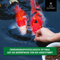 Koi Allround Plus | 8,4 kg | Eimer | hochwertiges Schwimmfutter | FIVE ELEMENTS