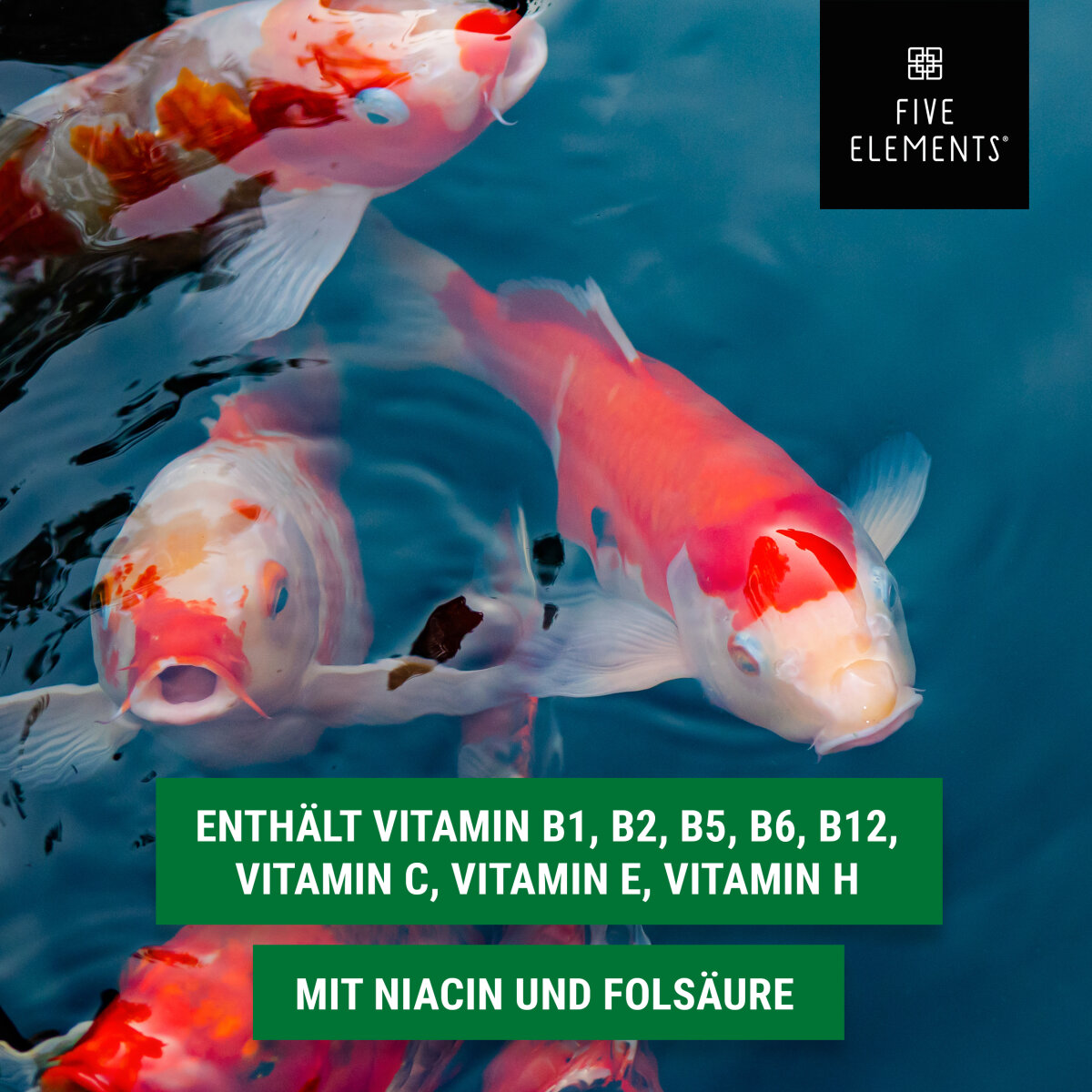 Lebende Filter Bakterien Für Teich - 5 Liter Gegen Nitrit