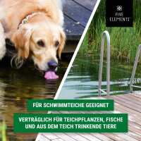 Intensiv-Algenfrei 2 kg | Fadenalgenvernichter | Granulat | FIVE ELEMENTS